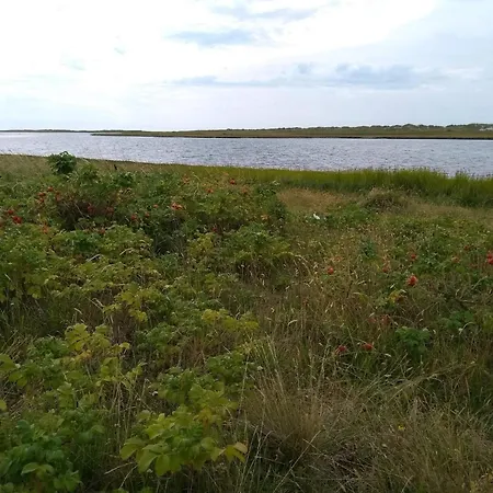 5 Star Holiday Home In Hadsund *