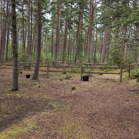 5 Star Holiday Home In Hadsund *