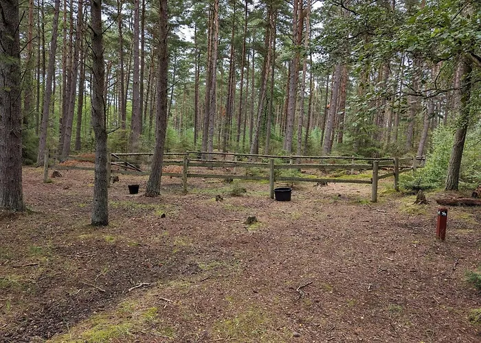 6 Person In Hadsund-by Traum
